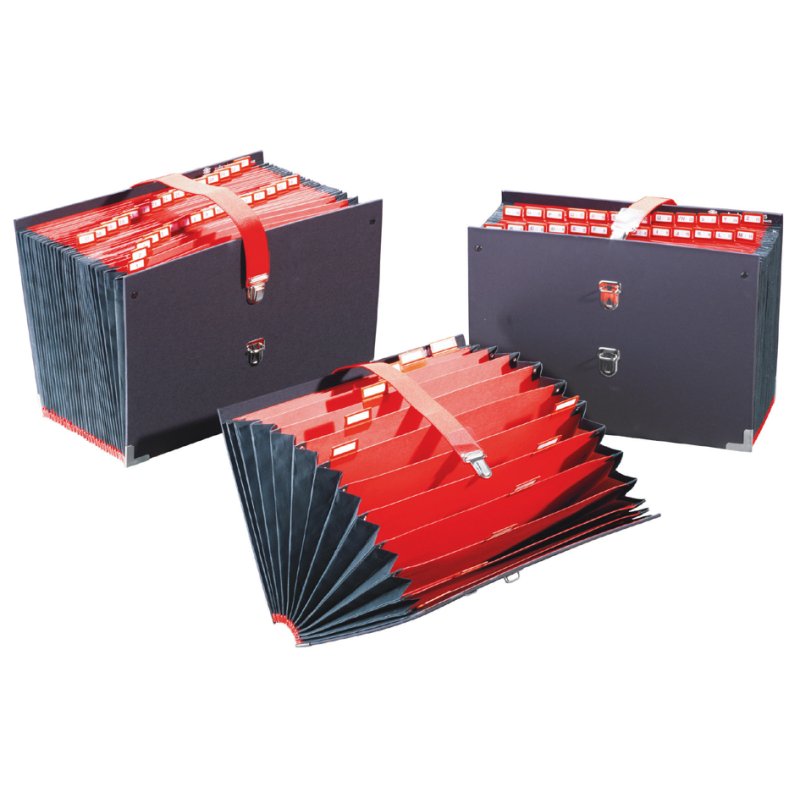 Extendos compartimenteur 31 cases, numérique 1-31, noir